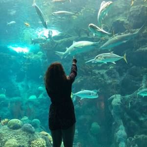 Meet your Posher, Alyssa